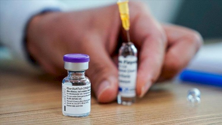    “Pfizer“ koronavirusun bitəcəyi tarixi açıqladı   