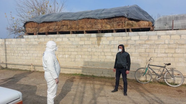    Polis koronavirus xəstəsi barədə araşdırmalara başladı   
