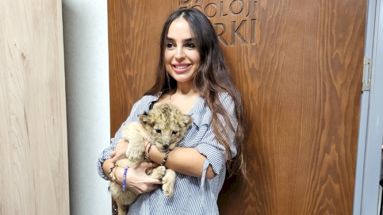    Bakı Zooparkında şir balası dünyaya gəldi   