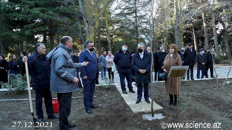    Ramiz Mehdiyevin ayağını qoyduğu yerə yol çəkildi - Fotolar   
