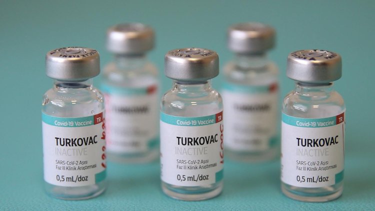    Türkiyənin milli vaksini istifadəyə verildi   