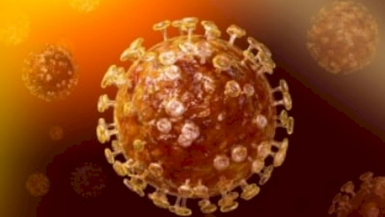    Gürcüstanda “Omikron“a yoluxma sürət yığır   