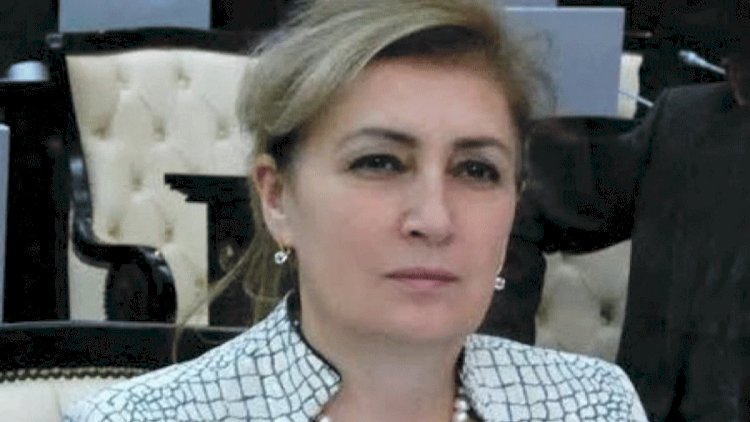    Deputat “Şuşa İli“nin əhəmiyyətindən danışdı   
