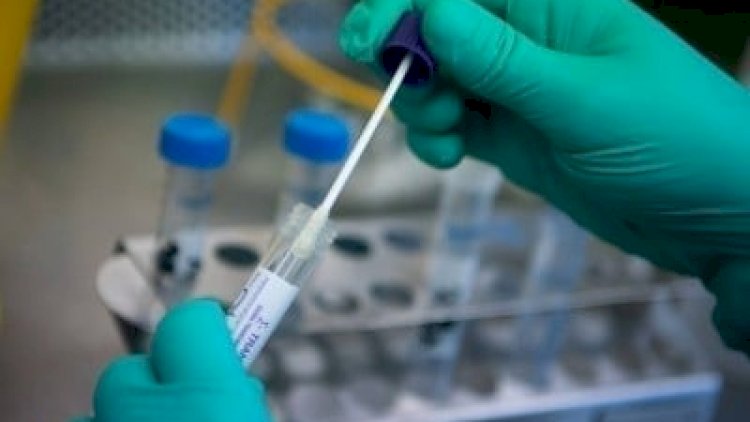    Gürcüstanda COVID: Yoluxma sayı 1 milyona yaxınlaşır   