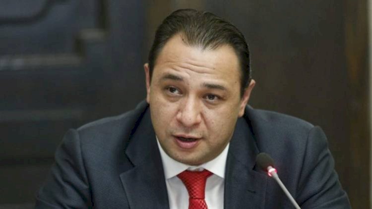    “Gürcüstan türkləşdirilib. Biz hardayıq?” - Ara Vardanyan   