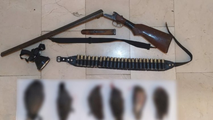    Masallıda qanunsuz ov edən şəxs saxlanıldı   