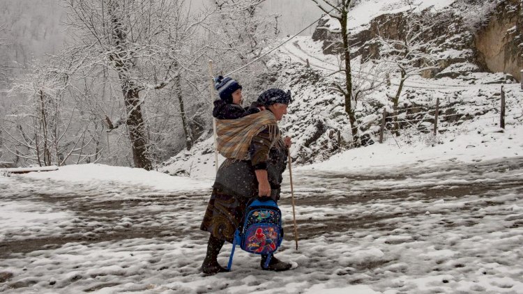    İcra başçısının müavini fotodan danışdı: “Çox gözəl mənzərədir”   