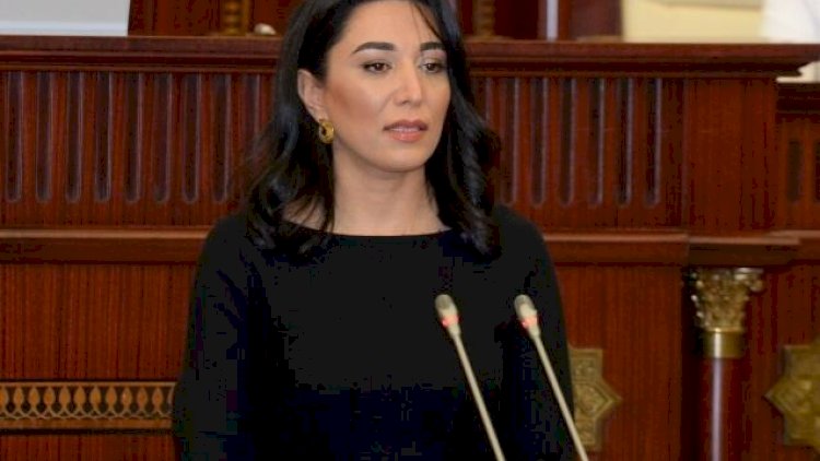    Ermənilərin ABŞ-dakı təxribatı ilə bağlı növbəti müraciət   