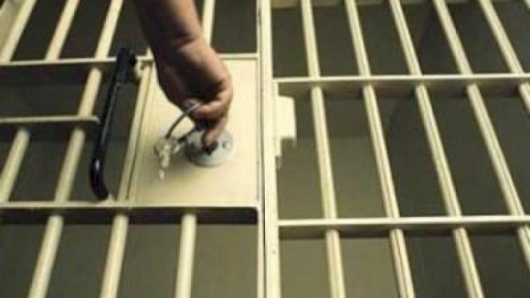    44 günlük müharibə iştirakçılarının amnistiyası - Erməni nəşrinin sensasiyası   
