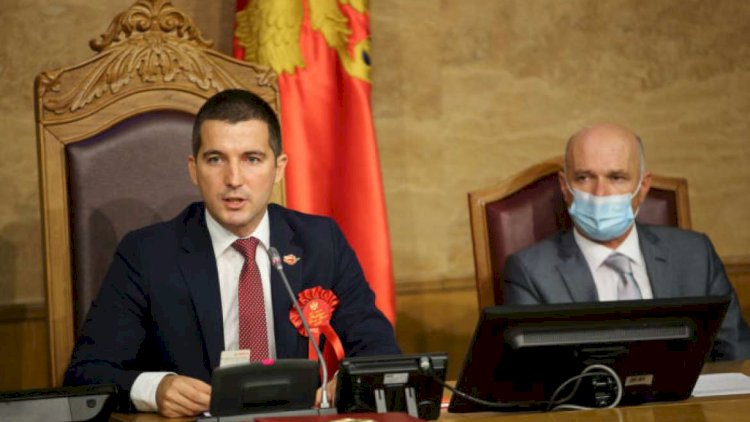    Monteneqro parlamentinin sədri Azərbaycana gəldi   