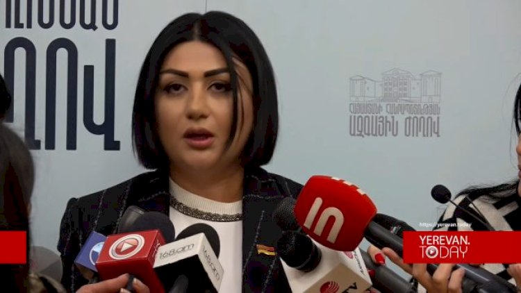    Həmkarlarını “türk agentləri” adlandıran deputat Stambulyanın Türkiyədə şirkəti var imiş   