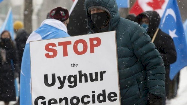    Fransa parlamenti uyğur soyqırımını tanıdı   