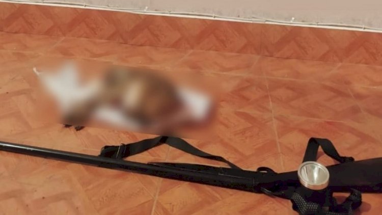    Ovçudan ov da, şikar da müsadirə olundu   