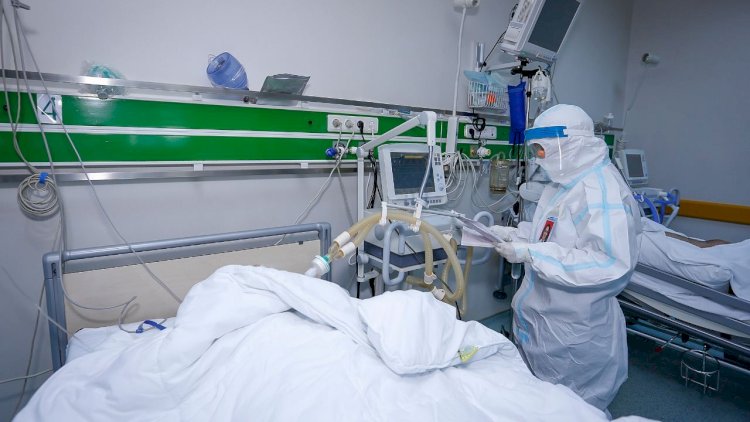    “Gömrük Hospitalında 1600-dən çox koronavirus xəstəsi müalicə alıb” - DGK sədri   