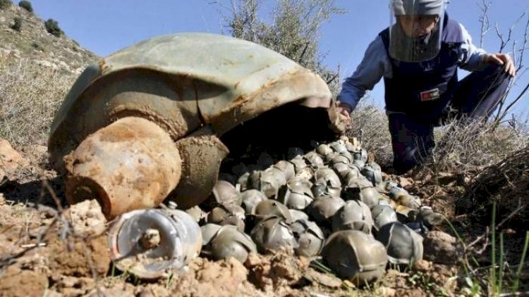    Yevlaxda daha 17 ədəd kasetli bomba aşkarlandı   
