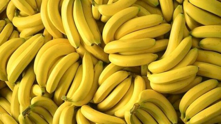    Azərbaycanda banan niyə bahalaşdı? - VİDEO   
