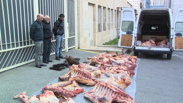    At əti satanlar tutuldu   - Video