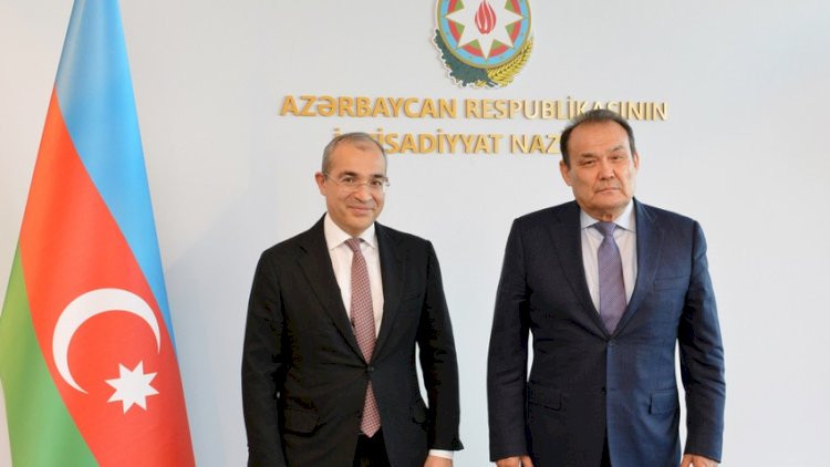    Mikayıl Cabbarov Bağdad Amreyevlə görüşdü   