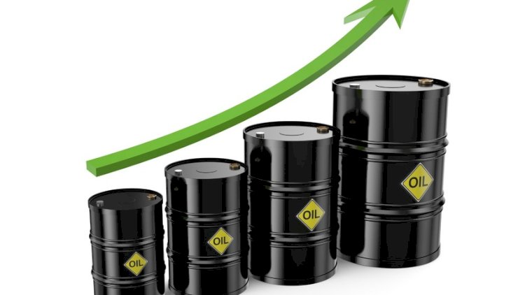    Brent neftin qiyməti 95 dolları keçdi   