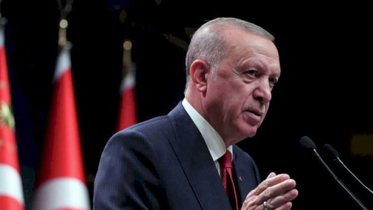    Ərdoğan Ukrayna ilə Rusiya arasında vasitəçilik təklif etdi   