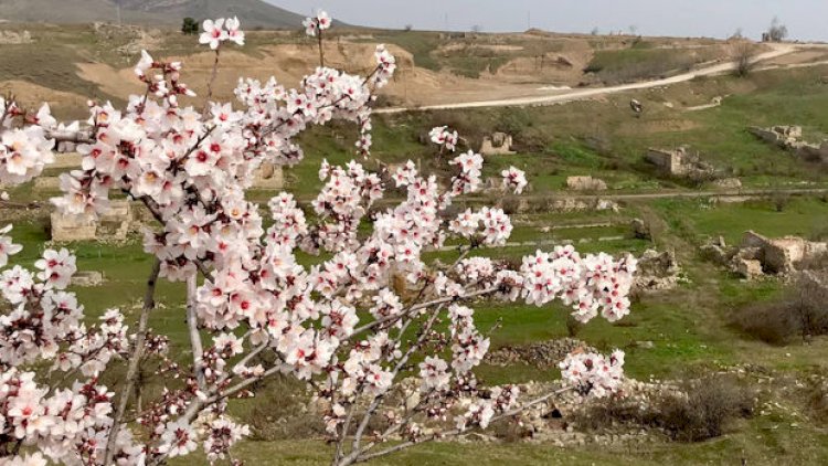    Britaniya səfiri Cəbrayıla səfər etdi   