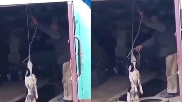    Yaşına bax, tutduğu işə bax: 86 yaşlı kişi...   