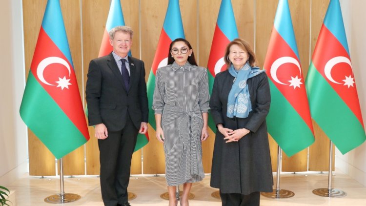    Birinci vitse-prezident Britaniya Baş nazirinin ticarət elçisi ilə görüşdü - Fotolar   