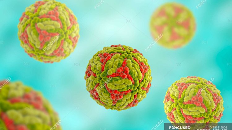    Ağcaqanaddan keçən virus: 2 nəfər öldü   
