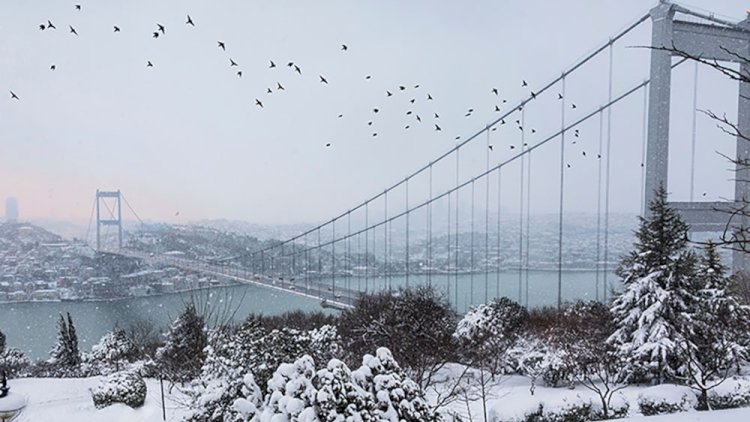    İstanbulda qara görə bütün dərslər ləğv edildi   