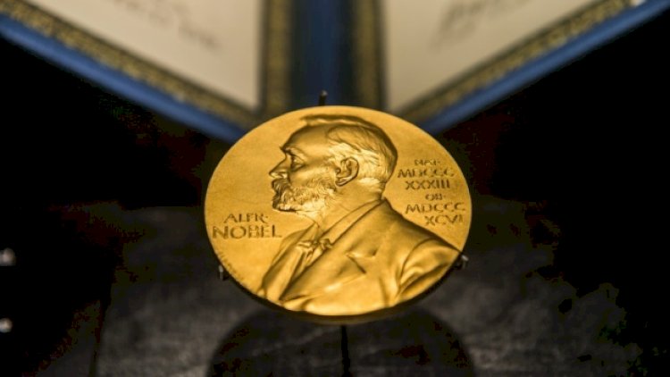    “Nobel Mükafatı Zelenskiyə verilsin“ - Müraciət   