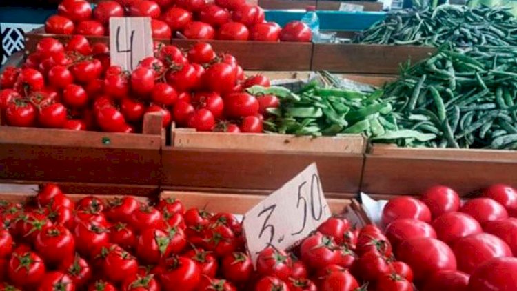    Pomidor niyə bahadır?    