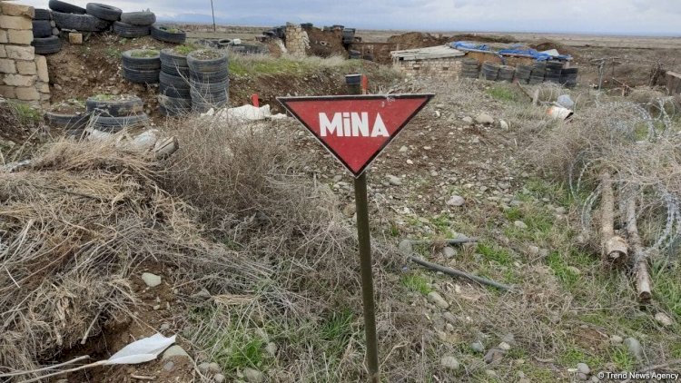    Prokurorluq minaya düşən hərbçilə bağlı məlumat yaydı   