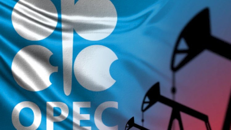    OPEC ölkələri Rusiyaya qarşı müxalifət yaradır   