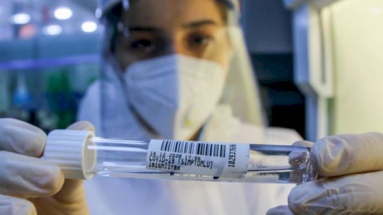    Azərbaycanda koronavirus MƏNZƏRƏSİ: 10 nəfər sağaldı, 11 nəfər yoluxdu   
