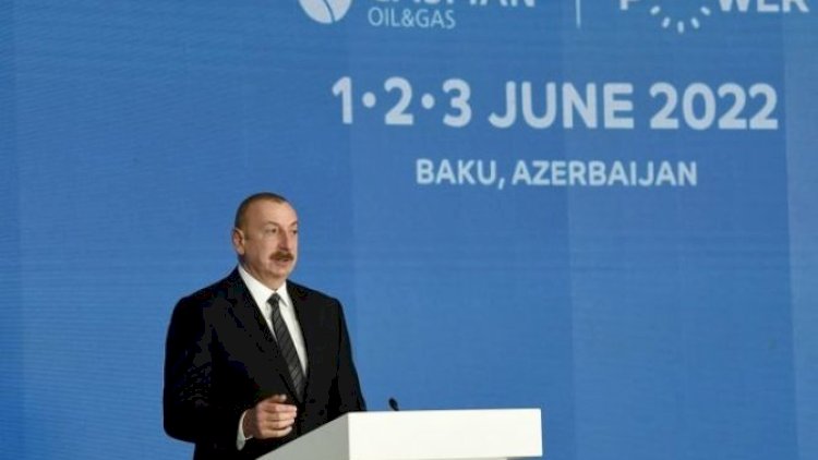    “Zəngəzur dəhlizi yalnız yüklər üçün deyil, elektrik enerjisi üçün mühüm ixrac marşrutu ola bilər”   