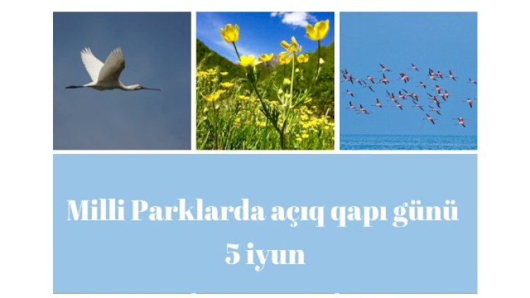    Bu gün milli parklarda “açıq qapı“ günü keçiriləcək    