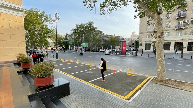    Nazirlik ağacları kəsəni axtarır – Araşdırma başladı   