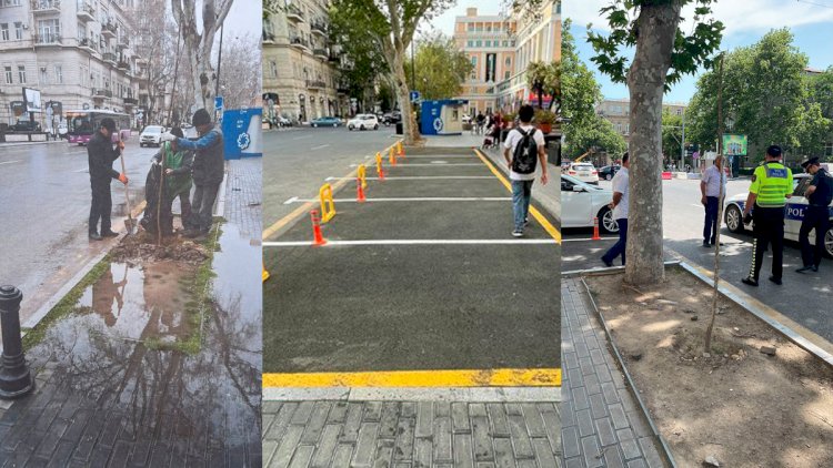    Park yeri salmaq üçün oyun necə qurulub? – Təfərrüat    