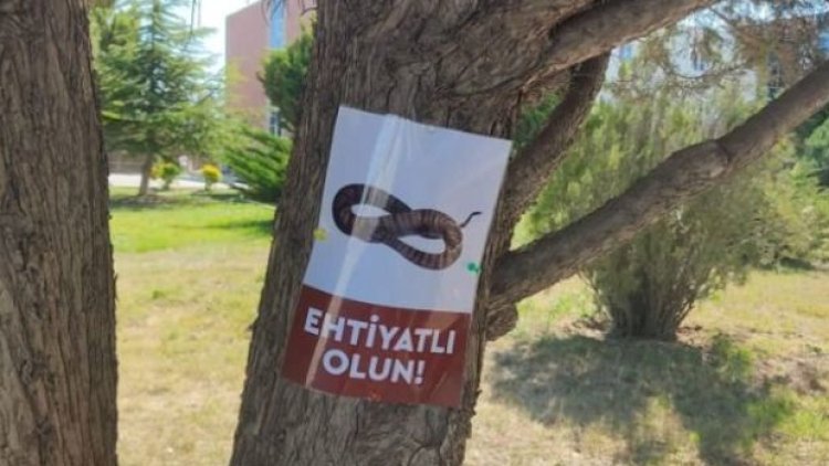    Universitetdə müzakirələrə səbəb olan ilan elanı ilə bağlı AÇIQLAMA   