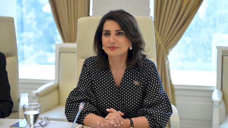    Daha bir deputatdan qazilərə dəstək   