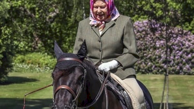    96 yaşlı kraliça yenidən at sürdü   