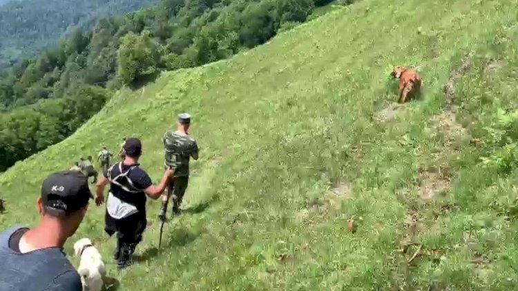    Hindistanlı turistin axtarışına itlər cəlb olundu - VİDEO   
