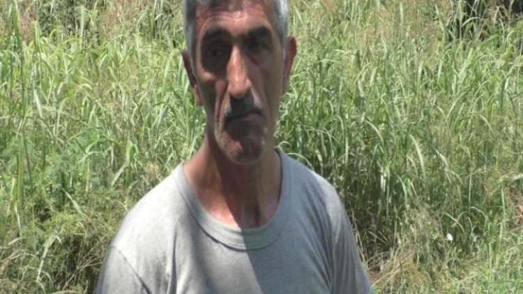    İcarəyə götürdüyü sahədə narkotik yetişdirdi - Fotolar   