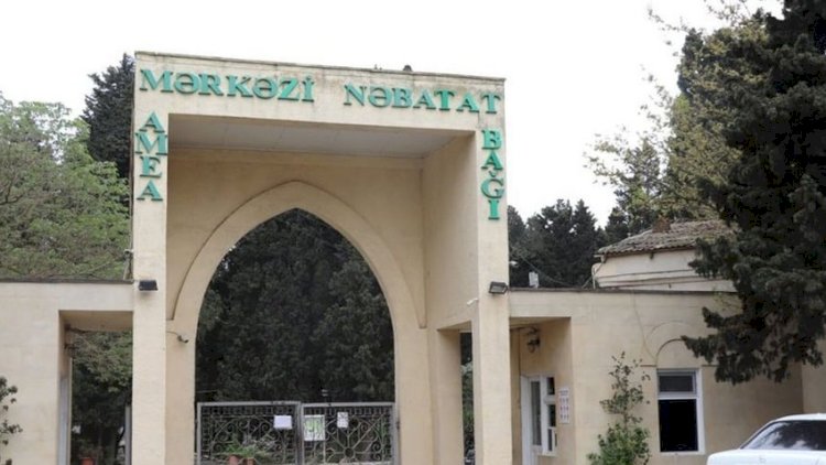    “Mərkəzi Nəbatat Bağı” və “Dendrologiya Bağı”nın nizamnamələri təsdiq edildi   