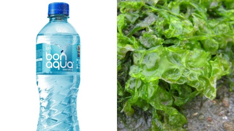    “Bonaqua” suyundan zir-zibil çıxdı - Video   