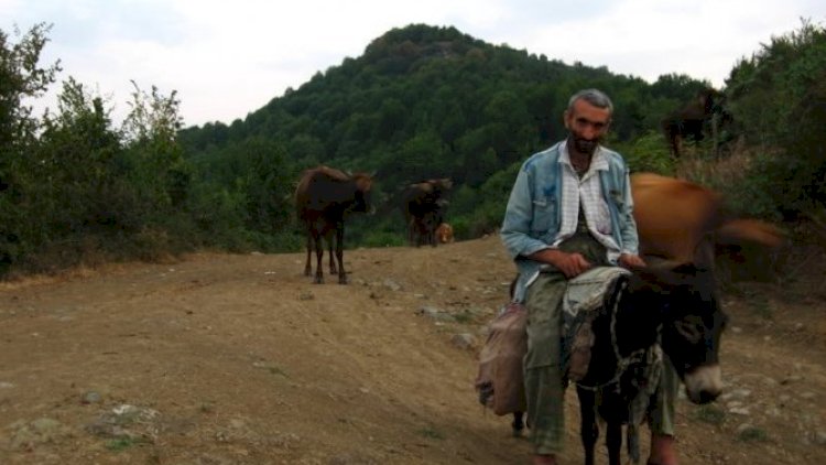    “Laçın və Zabux verilərsə, ermənilər Qarabağı, Xankəndini tərk edəcək…” - Qasparyan   