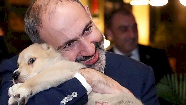    Paşinyan bu dəfə “reklama çəkildi”: “Buynuzlu dostlar...” - Video   