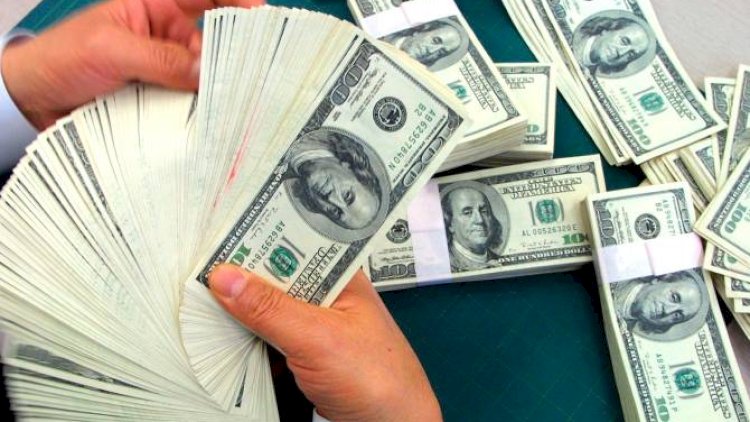    Xarici donorlar Ukrayna büdcəsinə 11 milyard vəsait yönəldib   