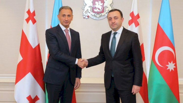    Rəşad Nəbiyev İrakli Qaribaşvili ilə görüşdü   