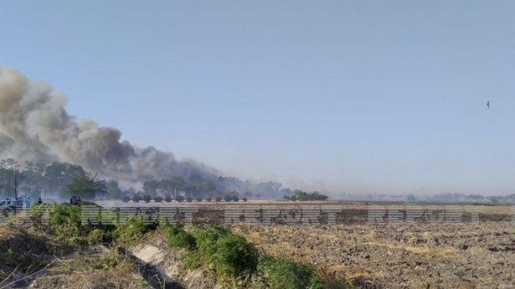    Şabranda meşədə başlayan yanğın ətrafa yayıldı   